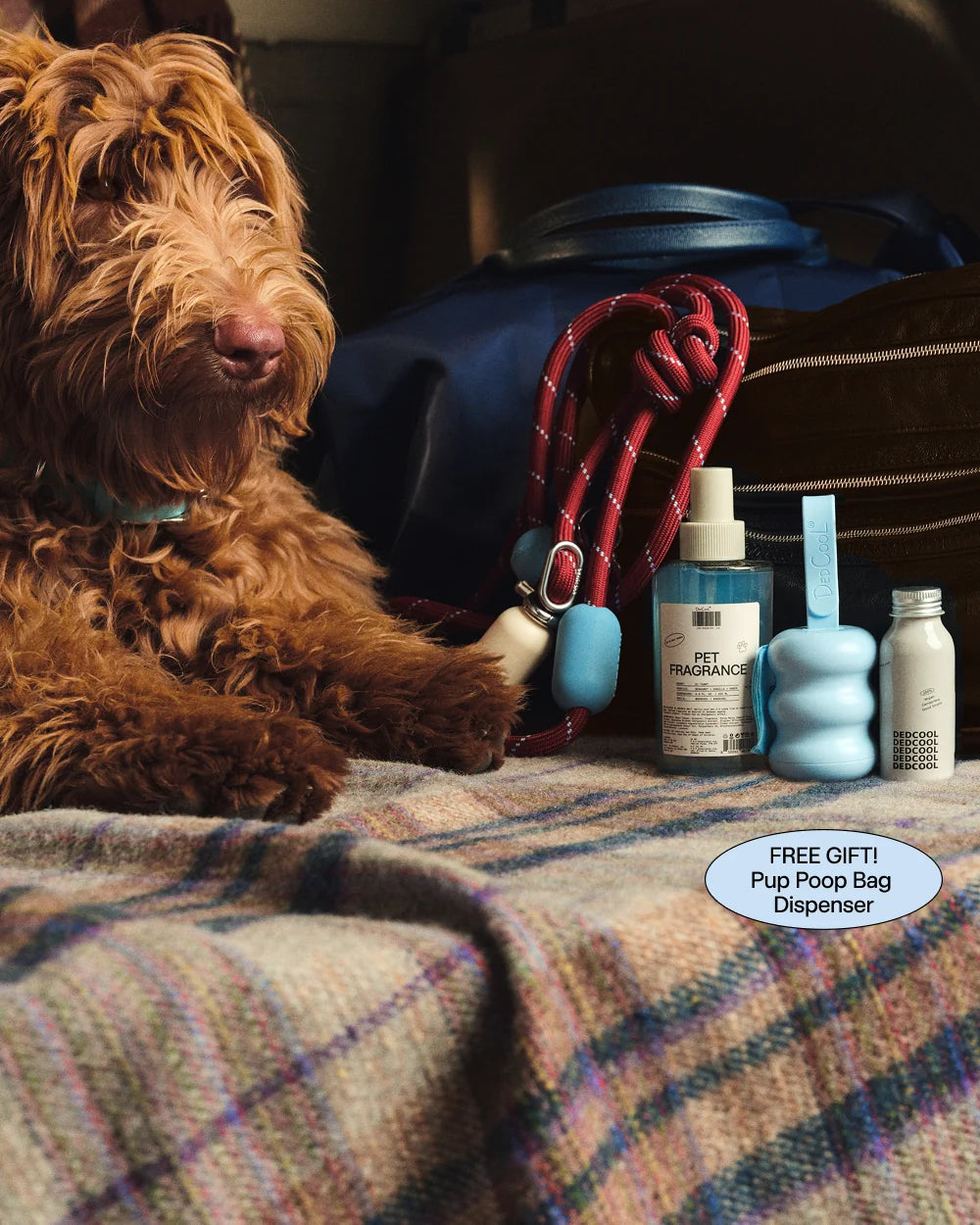 Mini Pet Bundle