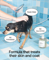 Pet Shampoo 01 "Taunt" Refill