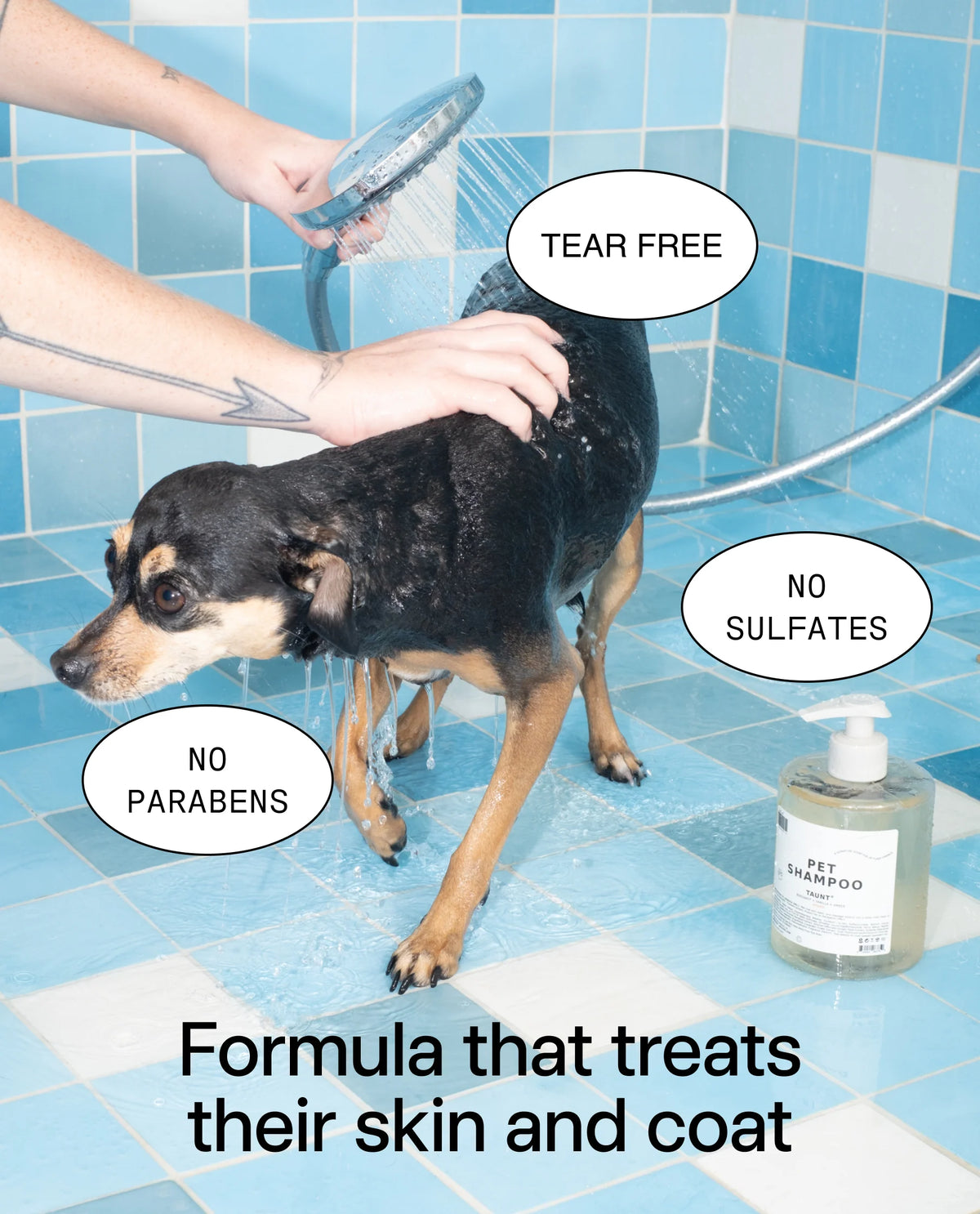 Pet Shampoo 01 "Taunt"