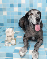 Pet Shampoo 01 "Taunt" Refill