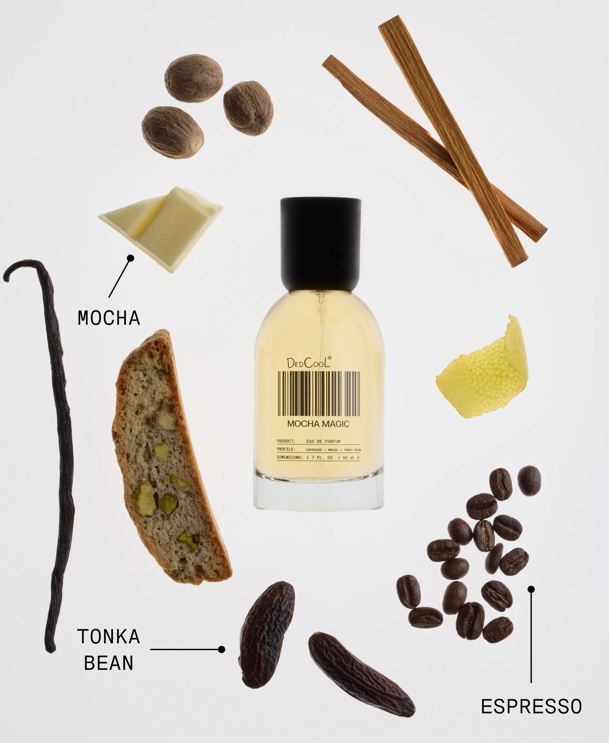 Mocha Magic Fragrance